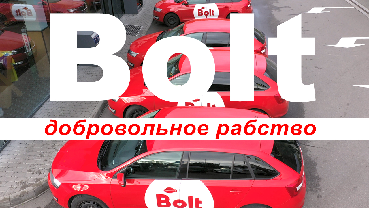 Bolt - добровольное рабство? - VisaVi